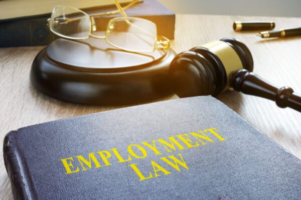6 Things You Need to Know about MN’s 6 New Employment Laws