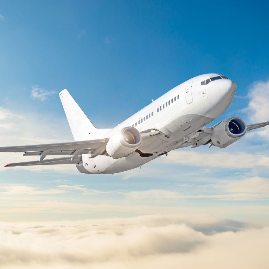 Personal Aircraft Insurance Horton Group