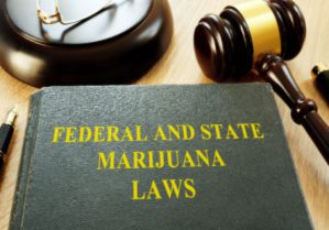 Minnesota’s New THC Law: What Should Employers Do Next?