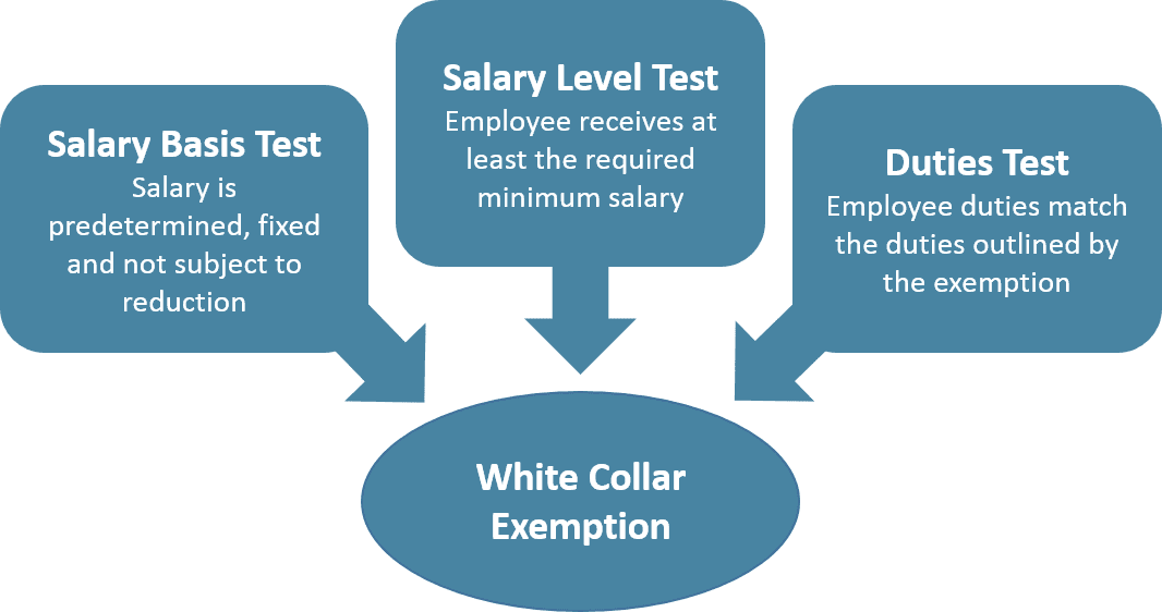 FLSA – The White Collar Exemption Rules