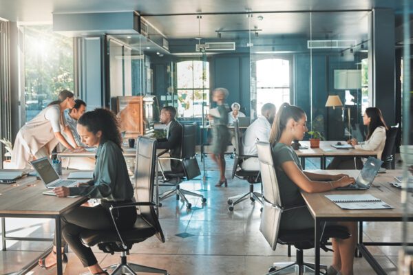 Employees working at their desks