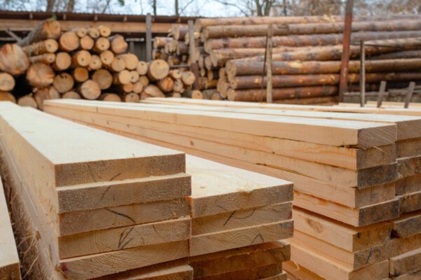 Sawmill Insurance Trends: What Wood Product Companies Need to Know