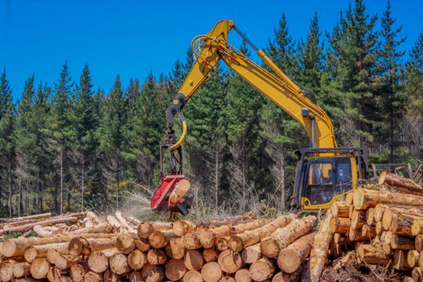 Protecting Your Mobile Fleet: Inland Marine Coverage for Forestry Equipment